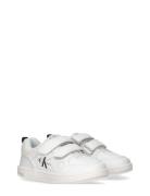 Low Cut Velcro Sneaker Lave Sneakers White Calvin Klein