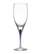 Intermezzo Blue Wine 19Cl Home Tableware Glass Wine Glass White Wine G...