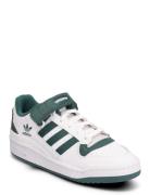 Forum Low Sport Sneakers Low-top Sneakers Green Adidas Originals