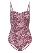 Bologna Swimsuit Badedrakt Badetøy Purple Missya