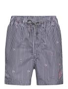 Jpstfiji Jjswim Small Stripes Ly Jnr Badeshorts Blue Jack & J S