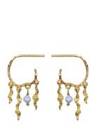 Bayou Earrings Øredobber Smykker Gold Maanesten