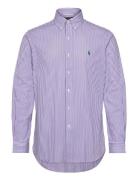 Custom Fit Striped Stretch Poplin Shirt Tops Shirts Casual Purple Polo...