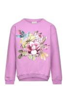 Noomi Collegetröja Tops Sweat-shirts & Hoodies Sweat-shirts Pink Ma-ia...