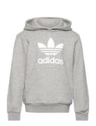 Trefoil Hoodie Tops Sweat-shirts & Hoodies Hoodies Grey Adidas Origina...