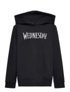 Nlfsille Wednesday Sweat Wh Bru Sky Tops Sweat-shirts & Hoodies Hoodie...