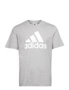 M Bl Sj T Sport T-shirts Short-sleeved Grey Adidas Sportswear