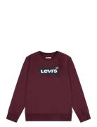 Fw-Crew Tops Sweat-shirts & Hoodies Sweat-shirts Brown Levi's