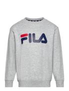 Babina Greda Sport Sweat-shirts & Hoodies Sweat-shirts Grey FILA