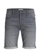 Jjirick Jjicon Shorts Ge 370 I.k Ss24 Sn Bottoms Shorts Denim Grey Jac...