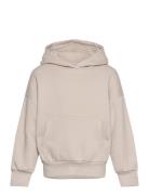 Sweatshirt Hood Solid Basic Tops Sweat-shirts & Hoodies Hoodies Beige ...