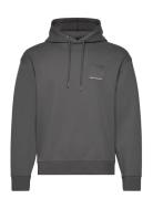 Sweatshirt Tops Sweat-shirts & Hoodies Hoodies Grey Armani Exchange