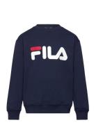 Babina Greda Sport Sweat-shirts & Hoodies Sweat-shirts Navy FILA