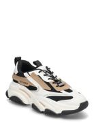 Possession-E Sneaker Lave Sneakers Multi/patterned Steve Madden