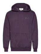 Stan Og Hood Tops Sweat-shirts & Hoodies Hoodies Purple Stan Ray