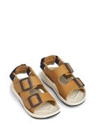 Anni Sandals Shoes Summer Shoes Sandals Brown Liewood