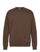 Sdlenz Crew Sw Tops Sweat-shirts & Hoodies Sweat-shirts Brown Solid