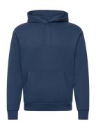 Hco. Guys Sweatshirts Tops Sweat-shirts & Hoodies Hoodies Navy Hollist...