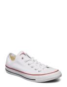 All Star Ox Optical White Lave Sneakers White Converse