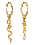 Evelyn Earrings Øredobber Smykker Gold Maanesten