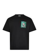 Sdnoli Tops T-shirts Short-sleeved Black Solid