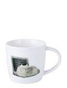 Mugg Computer Cat Home Tableware Cups & Mugs Coffee Cups White Maxwell...