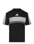 J 3S Tib T Tops T-shirts Short-sleeved Black Adidas Sportswear