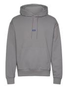 Nalonso Tops Sweat-shirts & Hoodies Hoodies Grey HUGO BLUE