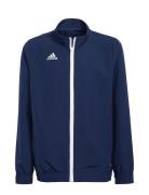 Ent22 Prejkty Sport Sweat-shirts & Hoodies Sweat-shirts Navy Adidas Pe...