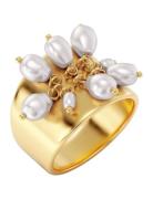 Pearl Signet Ring Ring Smykker Gold Edblad