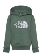 B Drew Peak P/O Hoodie Tops Sweat-shirts & Hoodies Hoodies Green The N...