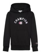 Hooded Sweatshirt Tops Sweat-shirts & Hoodies Hoodies Black Champion